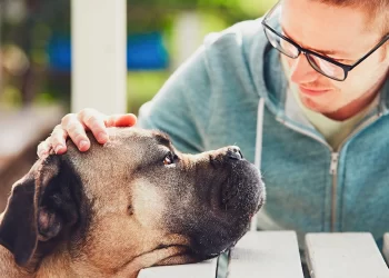 Tails of Joy: Tell Your Pet’s Story Through Art