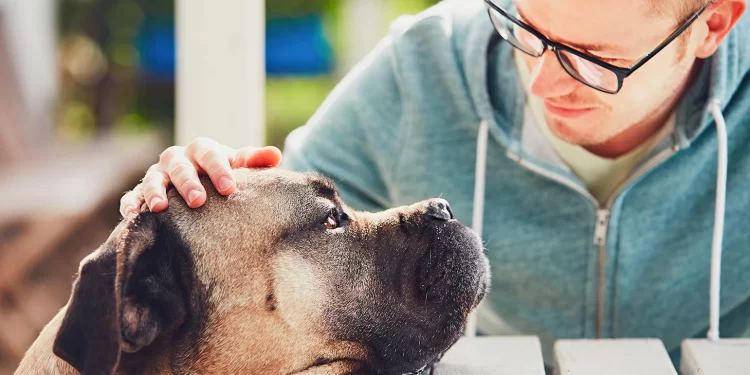 Tails of Joy: Tell Your Pet’s Story Through Art