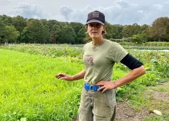 Agriculture Gold Loans: Tailored Financial Solutions for Farmers’ Unique Requirements